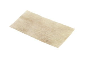 Fascia Lata